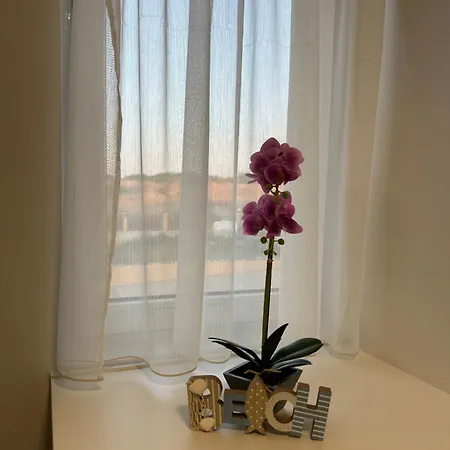 Sinemorets Blue 아파트 시네모레츠