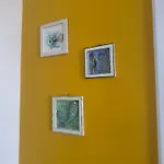 Sinemorets Blue Daire